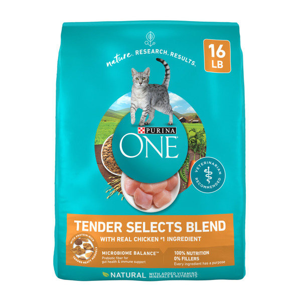 Cat Food Purina ONE Natural Dry Cat Food, Tender Selects Blend With Real Chicken hero