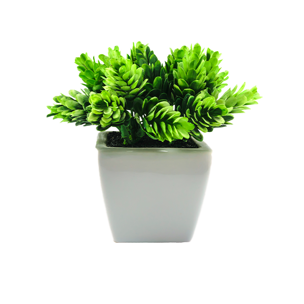 Artificial Plants Delivery or Pickup