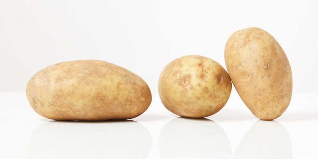 Baking Potatoes, , grocery store produce, on a blank background.