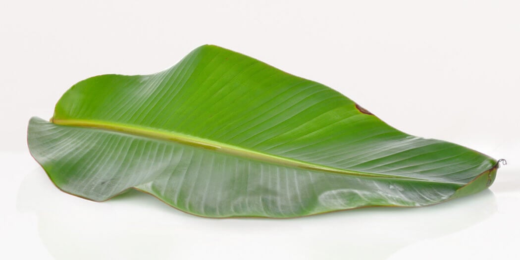 Banana leaves – All You Need to Know | Instacart Guide to Fresh Produce