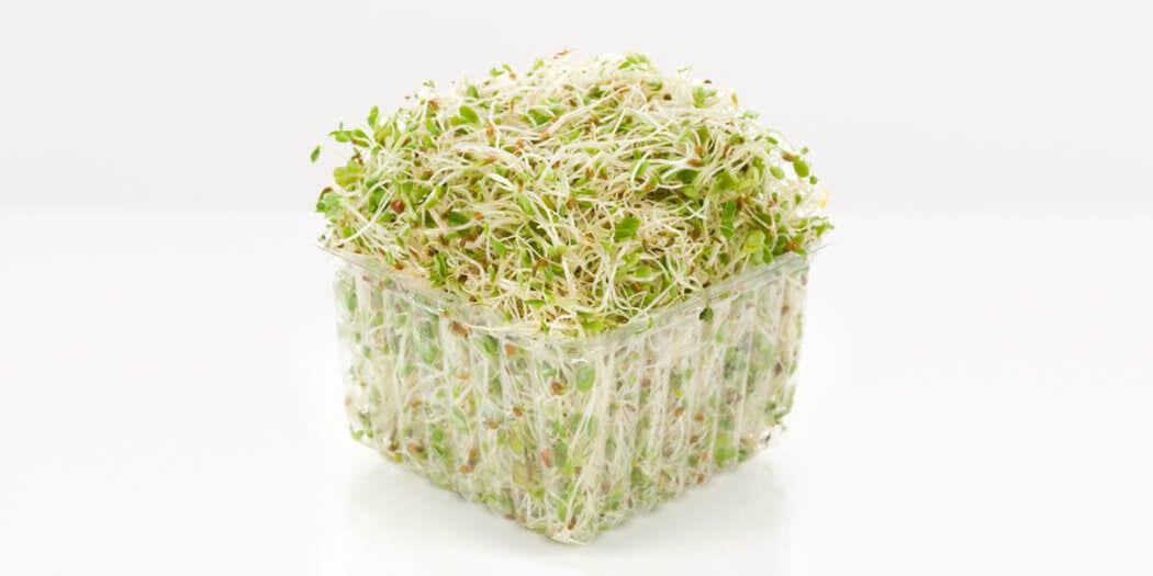 Alfalfa Sprouts – All You Need to Know | The Instacart Guide to Fresh Produce