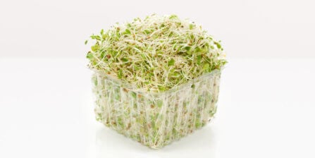 Alfalfa Sprouts - All You Need to Know | The Instacart Guide to Fresh Produce