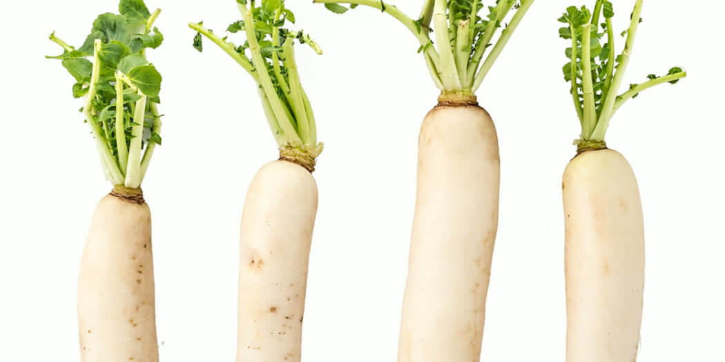 Daikon Radish – All You Need to Know | Instacart Guide to Fresh Produce