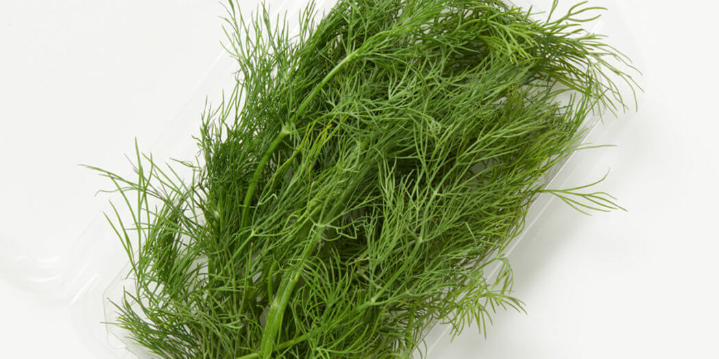 Dill – All You Need to Know | Instacart Guide to Fresh Produce