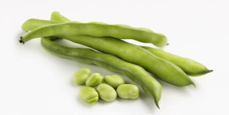 Fava Beans – All You Need to Know | Instacart Guide to Fresh Produce
