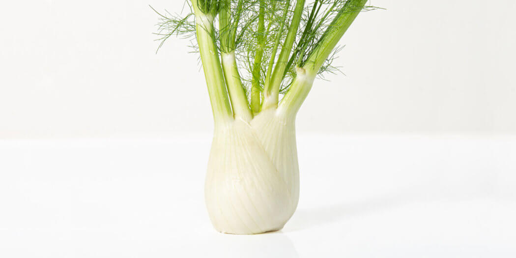 Fennel Bulb – All You Need to Know | Instacart Guide to Fresh Produce