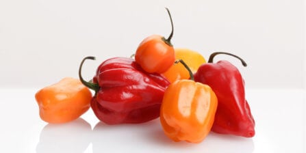 Habanero Peppers – All You Need to Know | Instacart Guide to Fresh Produce