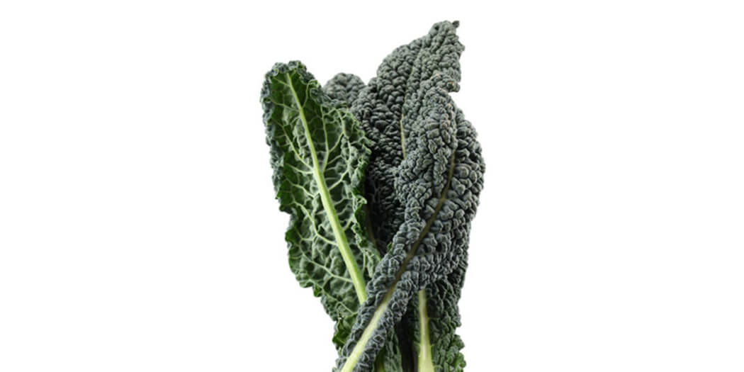 Lacinato Kale – All You Need to Know | Instacart Guide to Fresh Produce