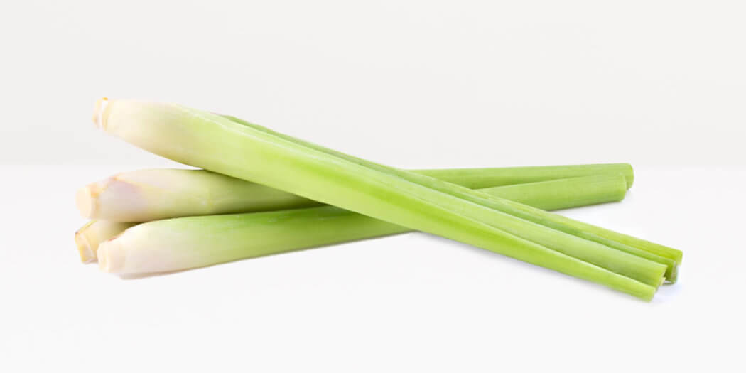 Lemongrass – All You Need to Know | Instacart Guide to Fresh Produce