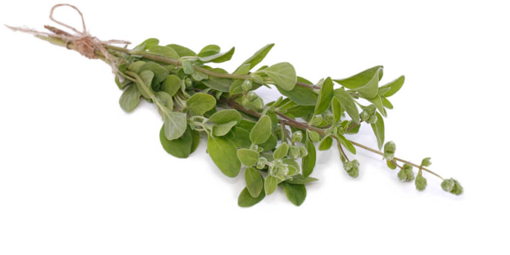 Marjoram – All You Need to Know | Instacart Guide to Fresh Produce