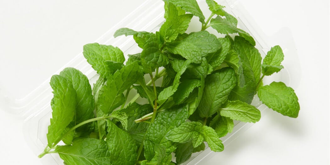 Mint – All You Need to Know | Instacart Guide to Fresh Produce