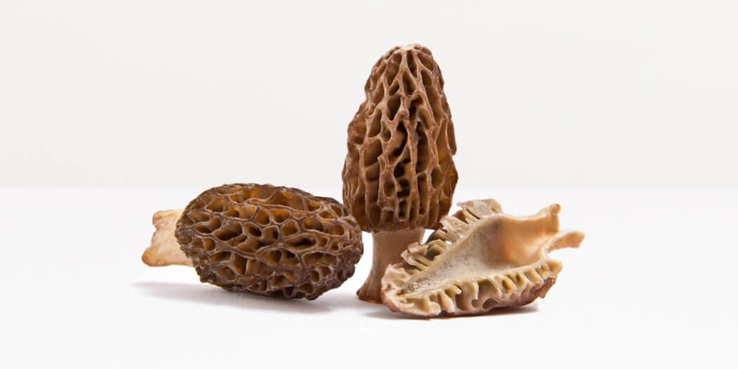 Morel Mushrooms – All You Need to Know | Instacart Guide to Fresh Produce