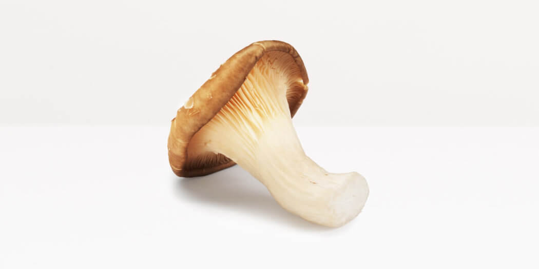 Oyster Mushrooms – All You Need to Know | Instacart Guide to Fresh Produce