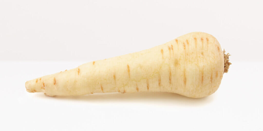 Parsnip, grocery store produce, on a blank background.
