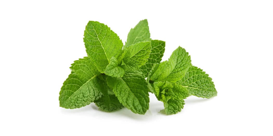 Peppermint – All You Need to Know | Instacart Guide to Fresh Produce