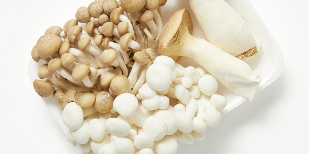 mushrooms (variety), grocery store produce, on a blank background.