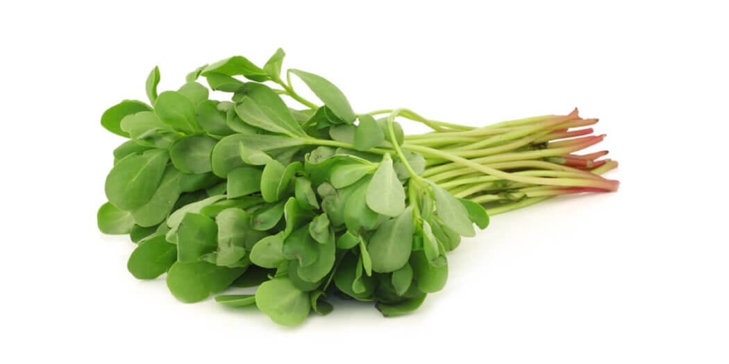Purslane – All You Need to Know | Instacart Guide to Fresh Produce