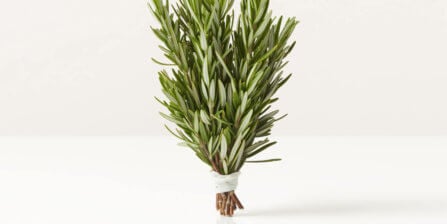 Rosemary – All You Need to Know | Instacart Guide to Fresh Produce