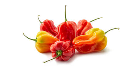 Scotch Bonnet Peppers – All You Need to Know | Instacart Guide to Fresh Produce