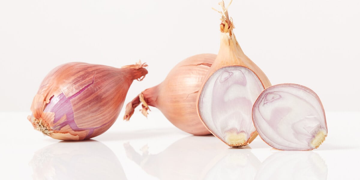 Shallots – All You Need to Know
