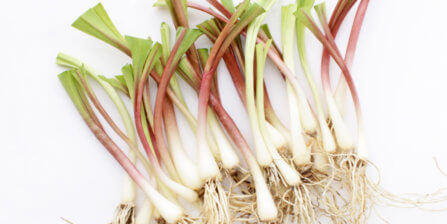 Ramps – All You Need to Know | Instacart Guide to Fresh Produce