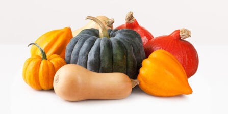 Squash – All You Need to Know | Instacart Guide to Fresh Produce