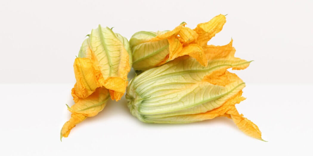 Squash Blossoms – All You Need to Know | Instacart Guide to Fresh Produce