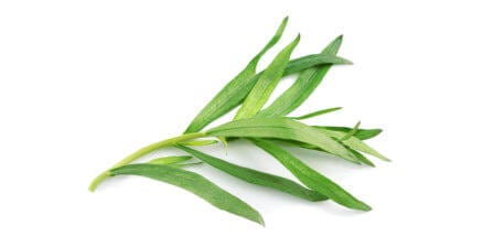 Tarragon – All You Need to Know | Instacart Guide to Fresh Produce