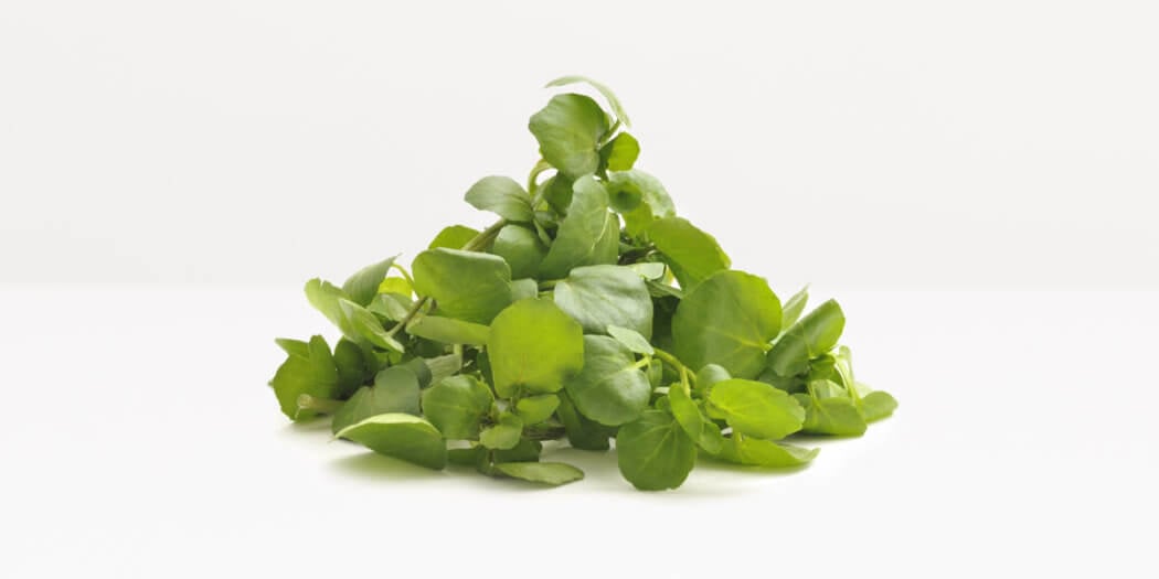 Watercress – All You Need to Know | Instacart Guide to Fresh Produce