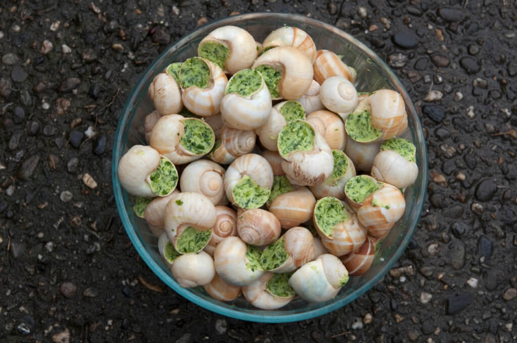 French escargots in a bowl.