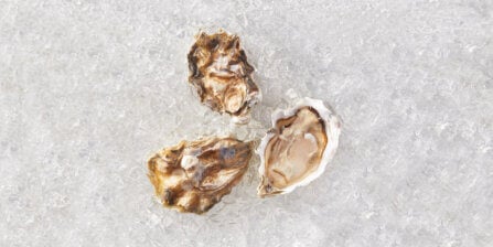 Oysters – All You Need to Know | Instacart's Guide to Groceries