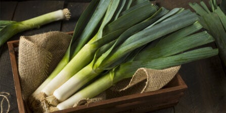 How to Cut Leeks with Step-by-Step Instructions