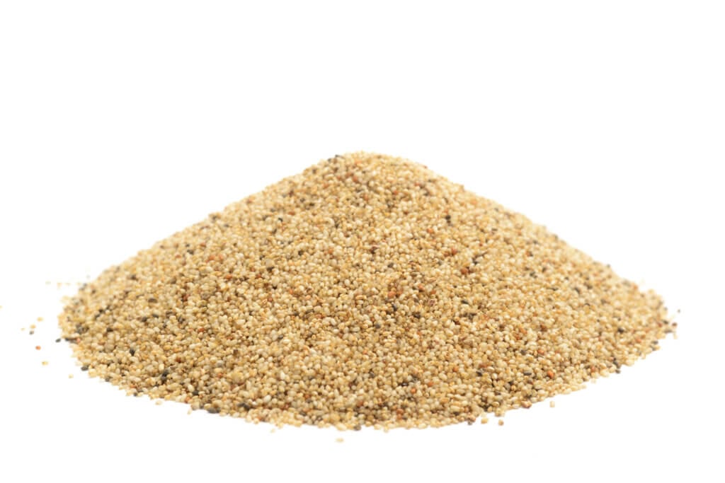 Teff grain isolated on a white background.
