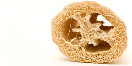 Luffa: What Is It and Where Does It Come From?