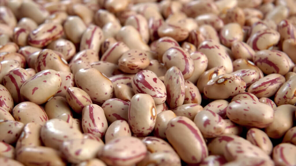 Dry uncooked pinto beans close up background