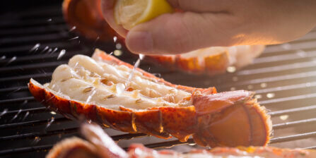 How to Cut Lobster Tail with Step-by-Step Instructions
