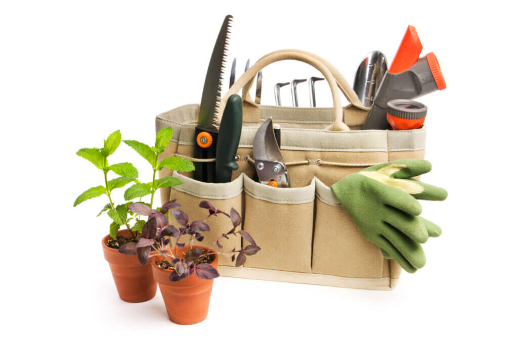 Gardening Tool Bag and Potted Plant Seedlings Isolated on White