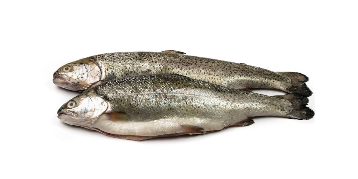 Trout: Where to Find, Nutritional Information, and More – Instacart