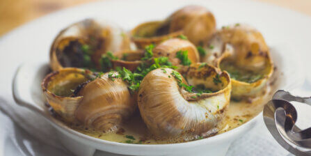 Snails: How are They Farmed, Cooked, Eaten, and More