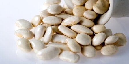 White Beans: Different Types, Origin, and How To Find Them