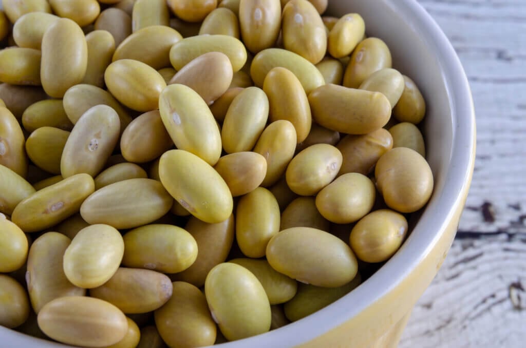 Organic Canary Beans or Mayocoba Beans