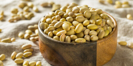 Mayocoba Beans: Uses, Origin, and More!