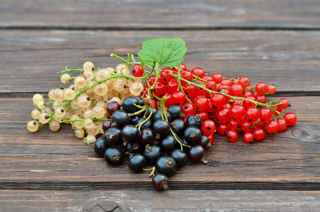 Ripe berries of black, red and white currants on a wooden table.