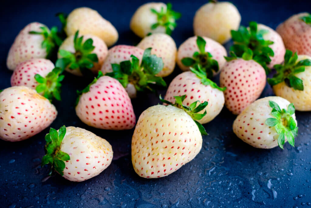 Freshly Washed White Pineberries on a Dark Background