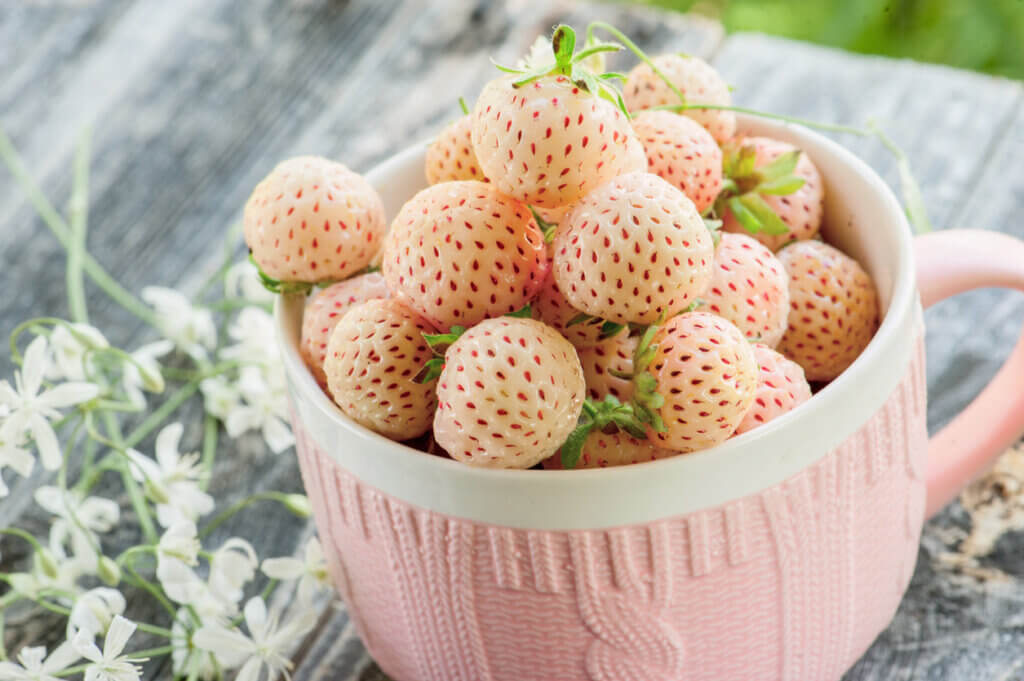 Ripe fresh pineberries in a pink Cup in a rustic style with small white flowers close-up