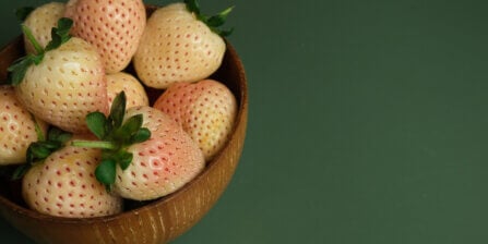 Pineberries: Origin, How to Find Them, and More Details