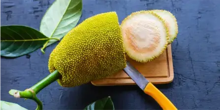 Jackfruit vs. Durian: Key Differences + Recipes