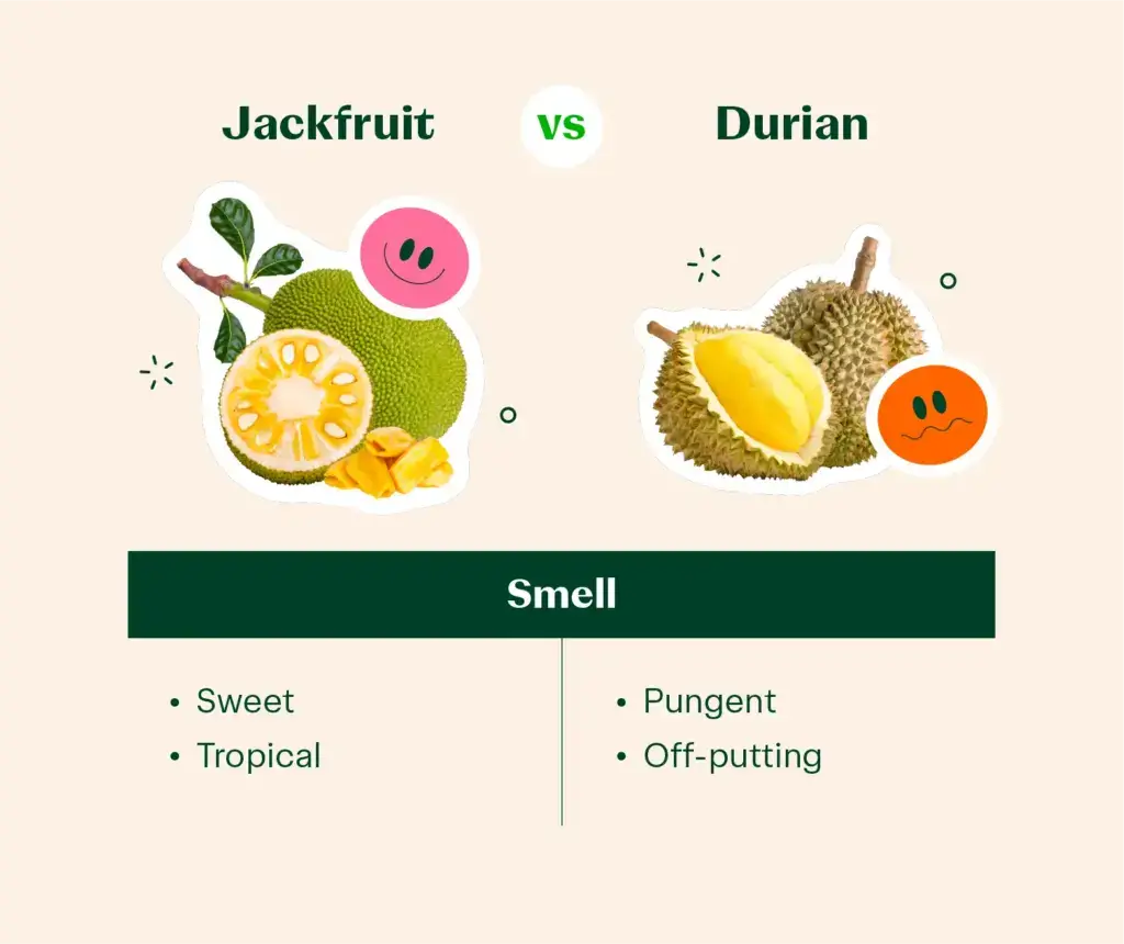 graphic comparing the smell of durian vs jackfruit