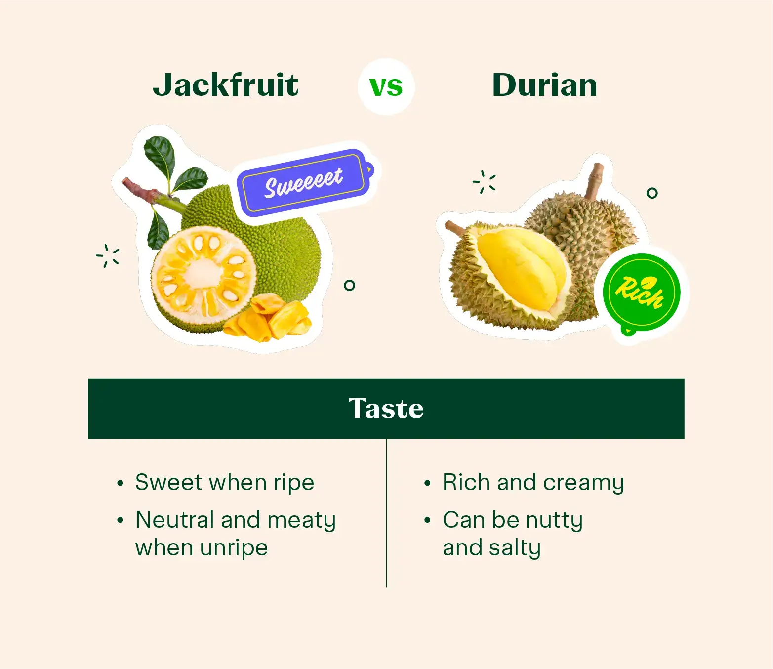 jackfruit vs durian taste comparison graphic
