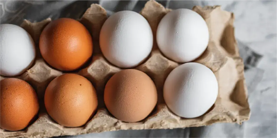 Brown Eggs vs. White Eggs: How Are They Different?